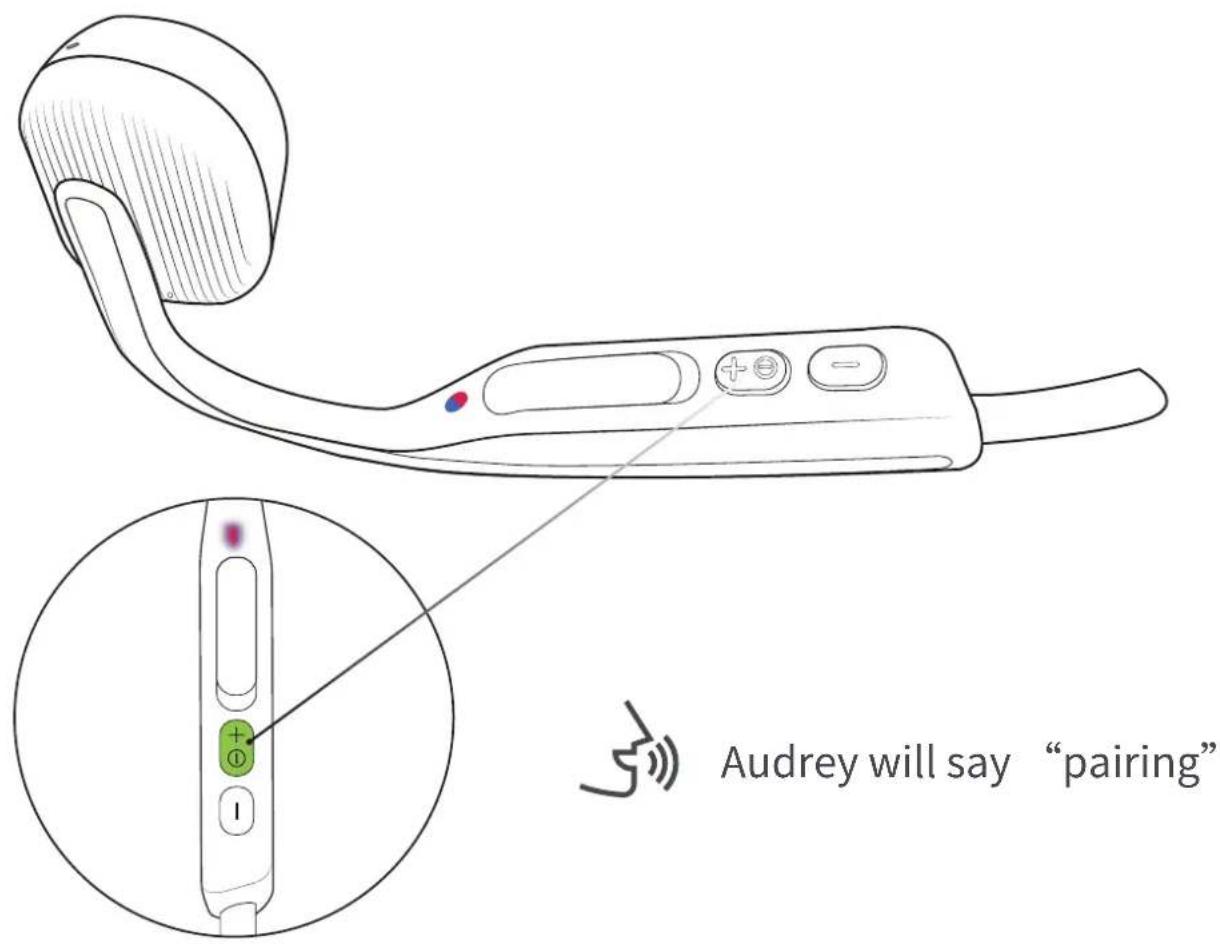 Audrey will say "pairing"