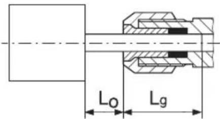 L₀ Lg