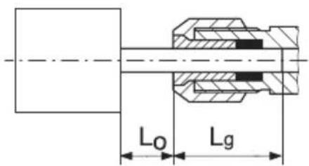 L₀ Lg