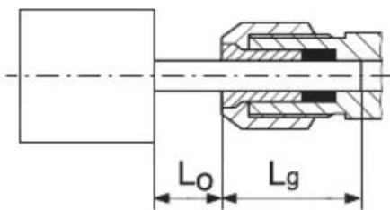 L₀ Lg