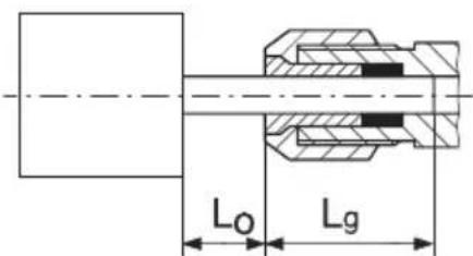 L₀ Lg