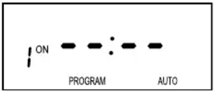 ON PROGRAM AUTO
