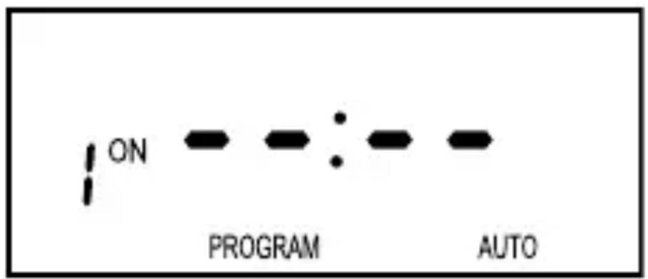 ON PROGRAM AUTO