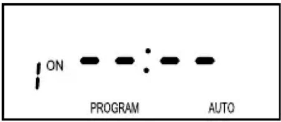 ON PROGRAM : AUTO