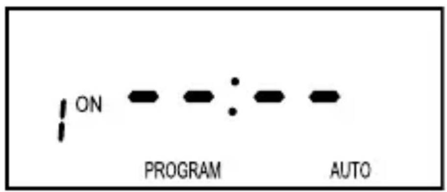 ON PROGRAM : AUTO