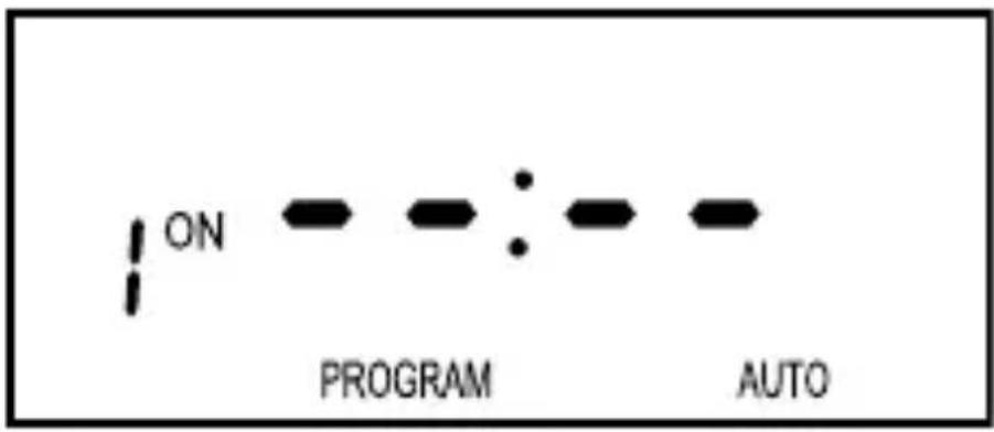 ON PROGRAM AUTO