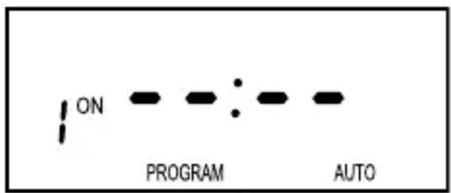 ON PROGRAM : AUTO