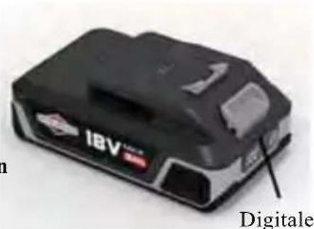 IBV Digitale