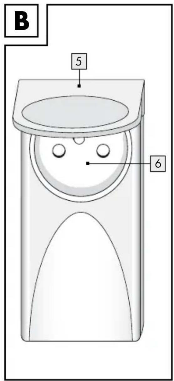 B 5 6