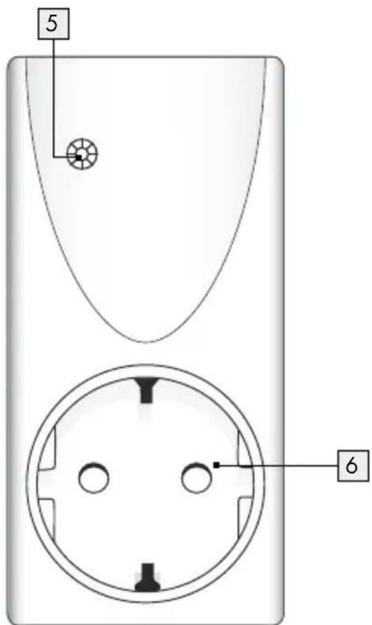 5 6
