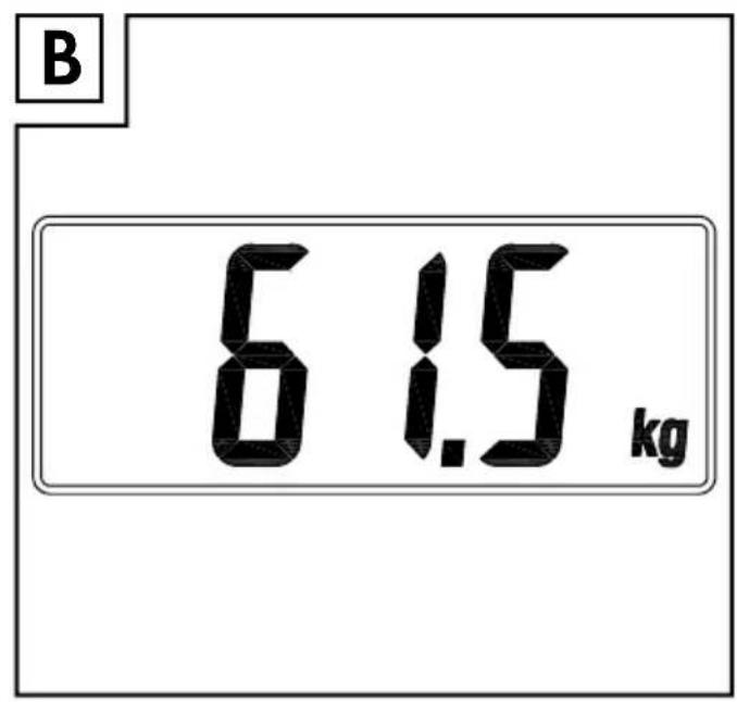 B 6 1.5 kg