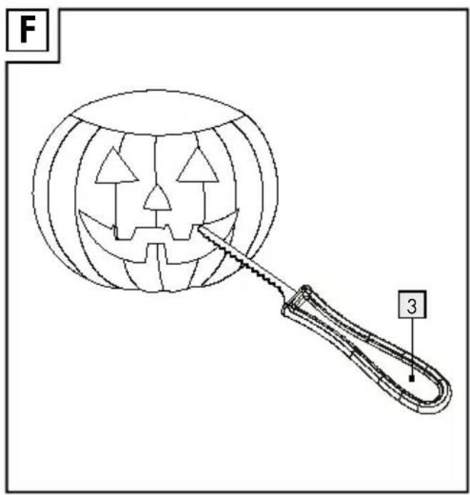 F 3