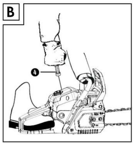 B ④