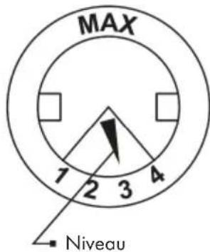 MAX 1 2 3 4 Niveau