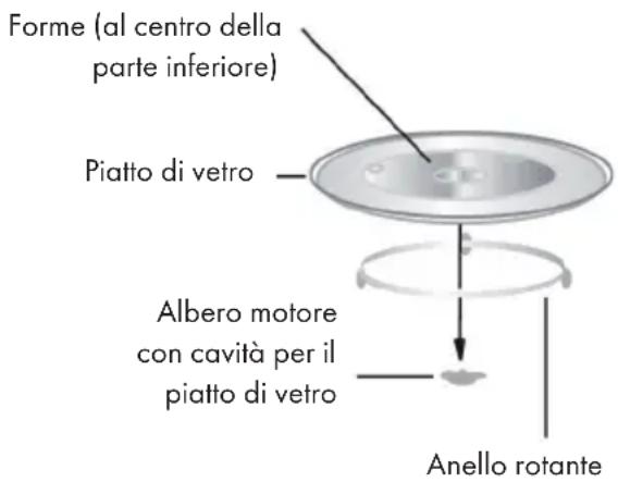 Forme (al centro della parte inferiore) Piatto di vetro Albero motore con cavità per il piatto di vetro Anello rotante