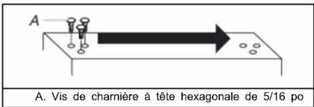 A. Vis de charnière à tête hexagonale de 5/16 po