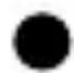 AURIOL IAN 284994 - Nettoyage et entretien - 1