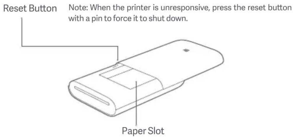 Reset Button Note: When the printer is unresponsive, press the reset button with a pin to force it to shut down. Paper Slot