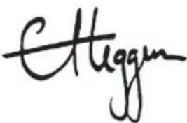 Cleggman