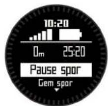 GARMIN Tactix - Visning af statusiden - 1