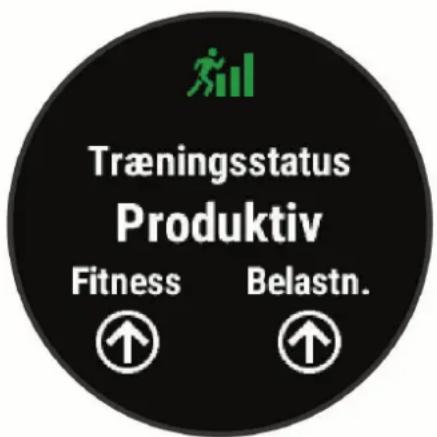 GARMIN Forerunner 745 - Træningsstatus - 1