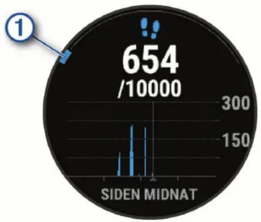 GARMIN Forerunner 745 - Automatisk mål - 1