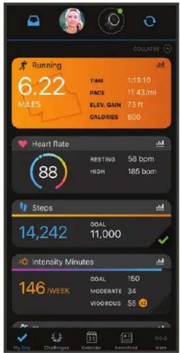GARMIN Forerunner 745 - Garmin Connect - 1