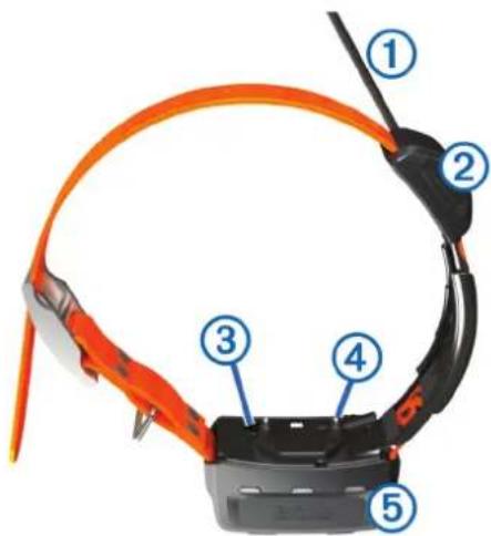 GARMIN Alpha 200i - Hundehalsbändsenhed - 1