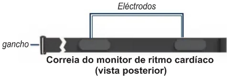 Eléctrodos gancho Correia do monitor de ritmo cardíaco (vista posterior)