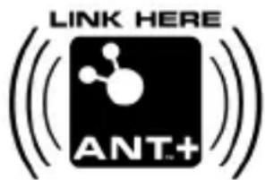LINK HERE ANT+