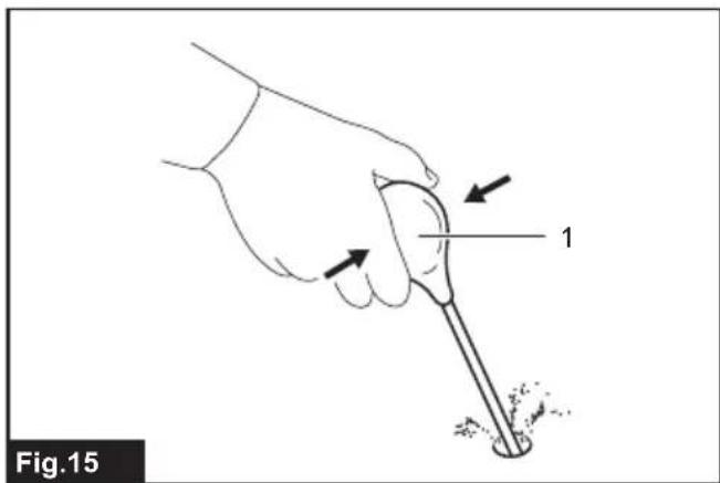 Fig.15