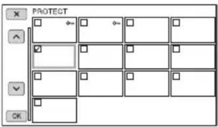 PROTECT OK