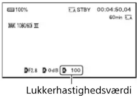 100% STBY 00:04:50.04 60min MAX 1080/60 Σ DF2.8 0dB 100 Lukkerhastighedsværdi