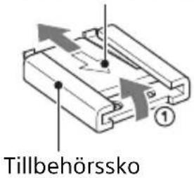 Tillbehörssko