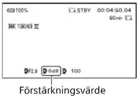 100% STBY 00:04:50.04 60min XMC 1080/651 DF2.8 0dB 100 Förstärkningsvärde