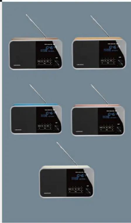 GRUNDIG DTR 3000 DAB+ - 2