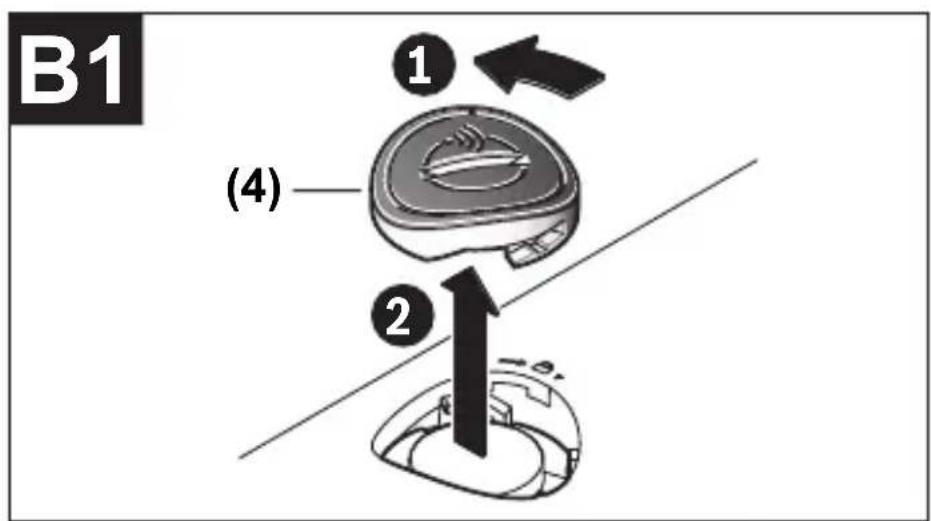 B1 (4) ① ②