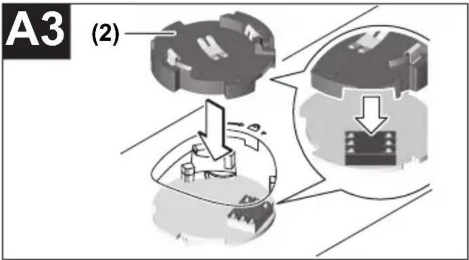 A3 (2)