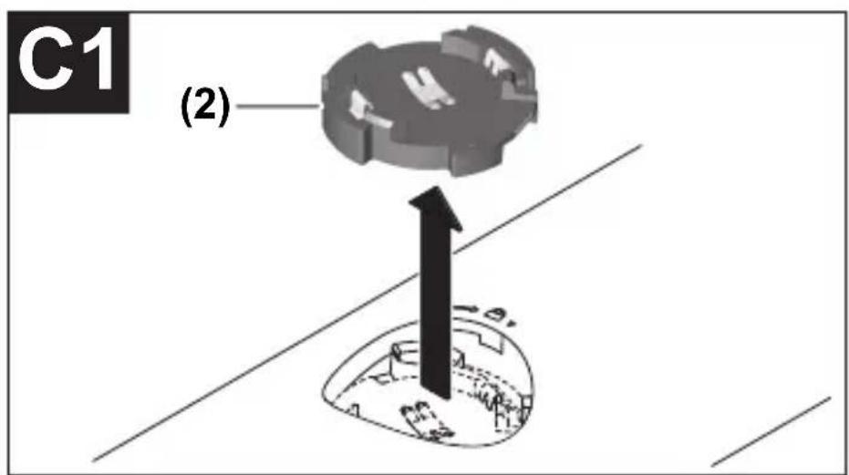 C1 (2)