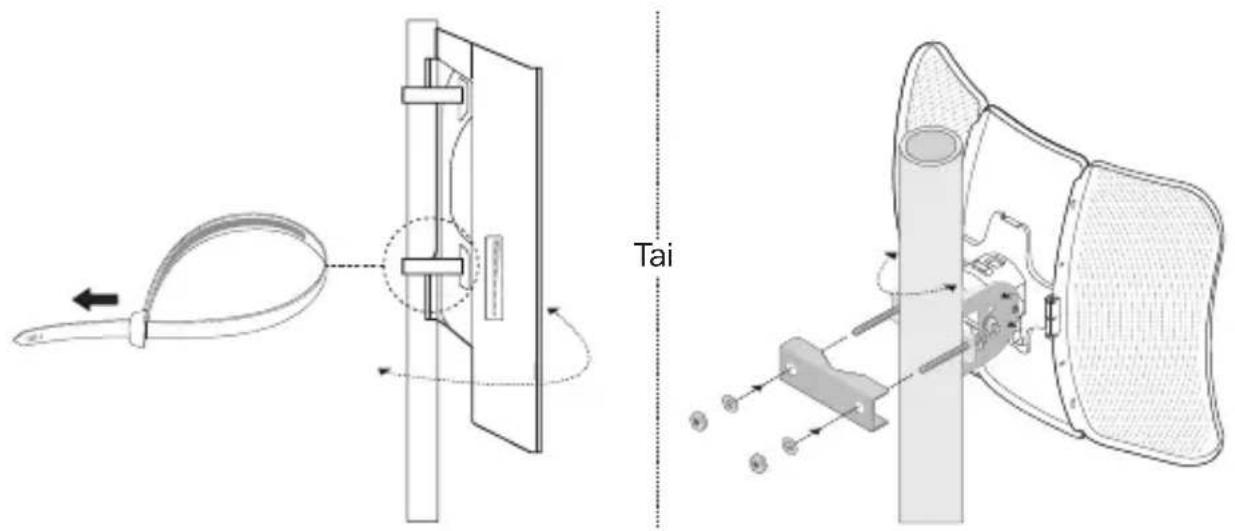 Tai