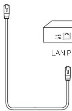 LAN P