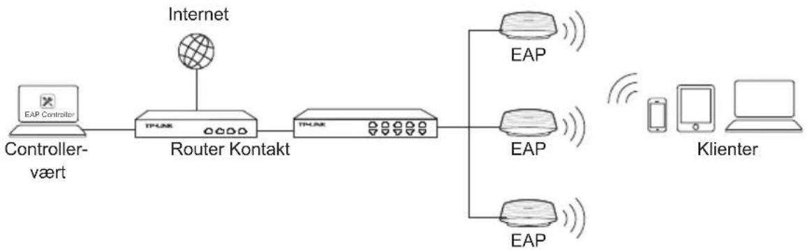 TP-LINK EAP320 - Netværkstopologi - 1