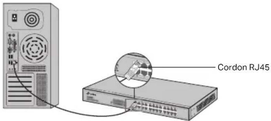 Cordon RJ45