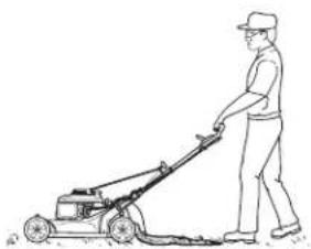 Honda HRX 537C HY - Rear Discharge - 2