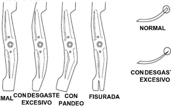 NORMAL CON DESGASTE EXCESIVO MAL CON DESGASTE CON PANDEO FISURADA CON DESGASTE EXCESIVO
