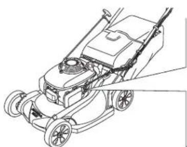 Honda HRX 537C HY - DE MOTOR AFZETTEN - 4