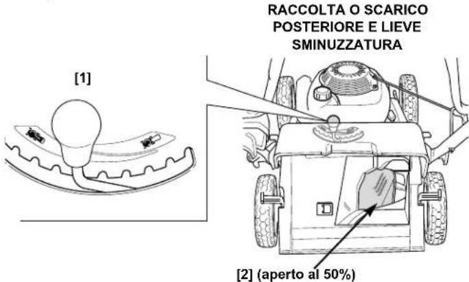 RACCOLTA O SCARICO POSTERIORE E LIEVE SMINUZZATURA [1] [2] (aperto al 50%)