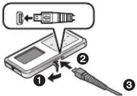 PANASONIC D-Snap SV-SD300 - Oplad det genopladelige batteri. (Ved hjælp af AC-adapteren) - 1