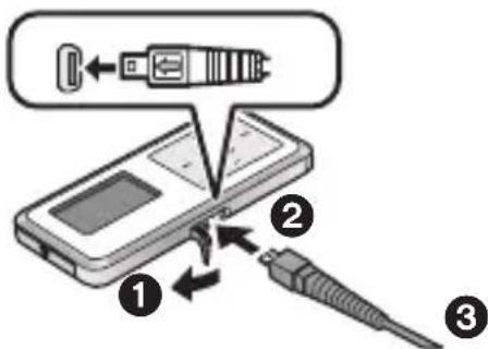 PANASONIC D-Snap SV-SD300 - Ladda upp det laddningsbara batteriet. (Använd nätadaptern) - 1