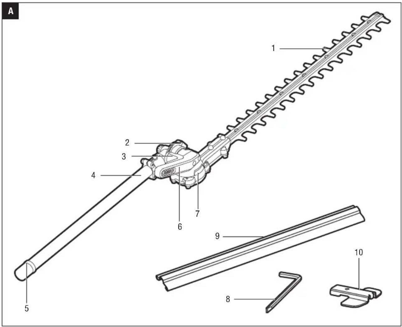 A 1 2 3 4 6 7 9 5 8 10